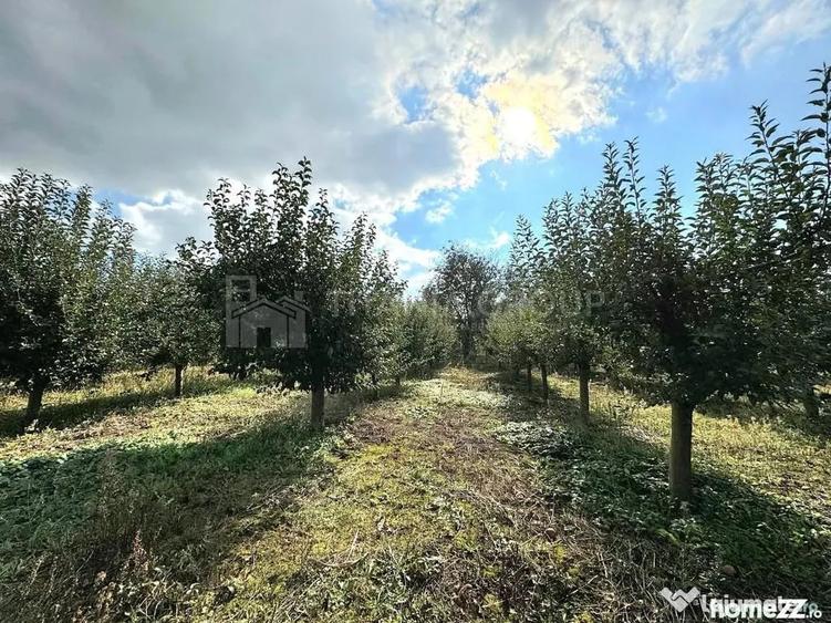 Teren de 2902 mp, în Dămienești
