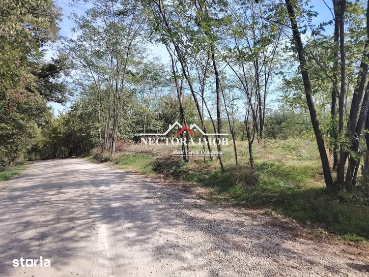 Teren de 2350 mp, în Paleu