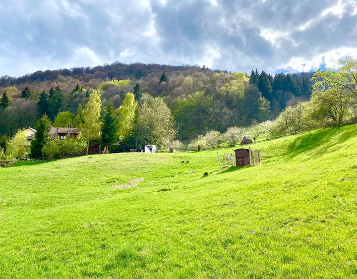 Teren de 3000 mp, în Predeluț