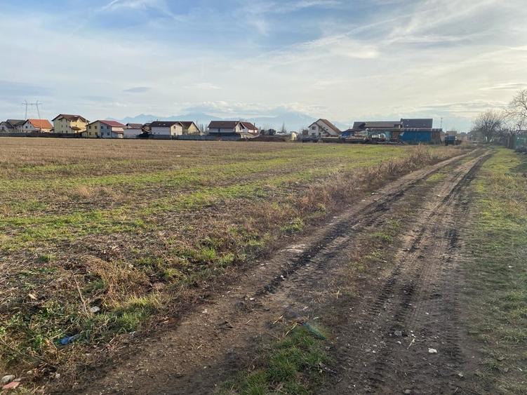 Teren Construcții intravilan de 502 mp, în Hălchiu