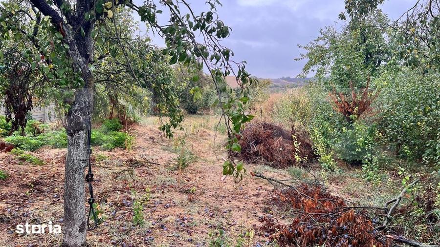 Teren de 4400 mp, în Mischii
