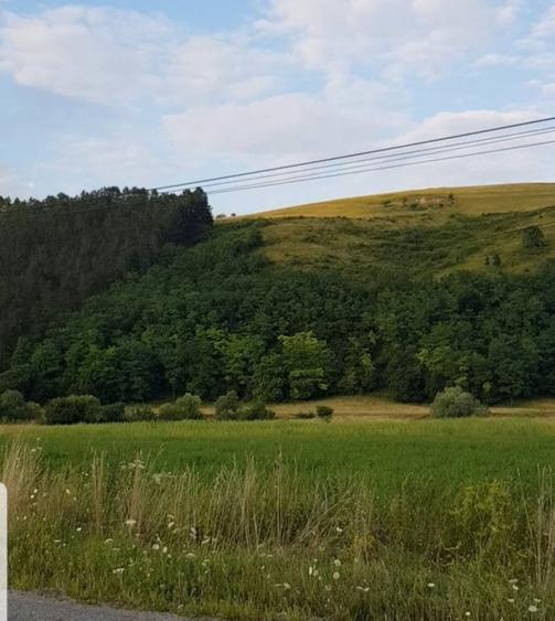 Teren Construcții intravilan de 900 mp, în Luna de Sus