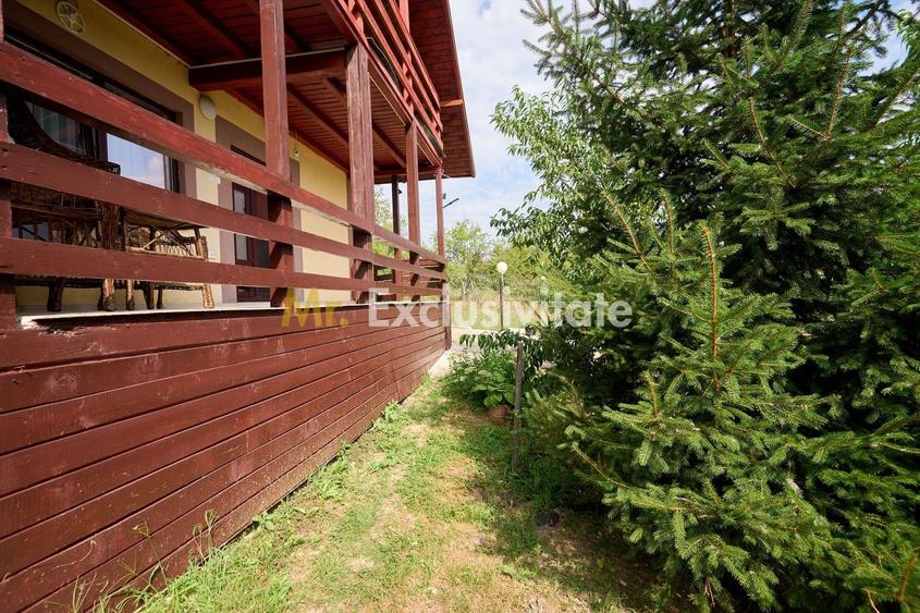 Două case in Babana,aproape de Pitești priveliște de poveste - 24