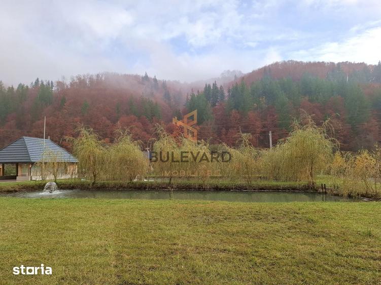 Casă cu 8 camere cu Teren 6300 Mp în Târlișua