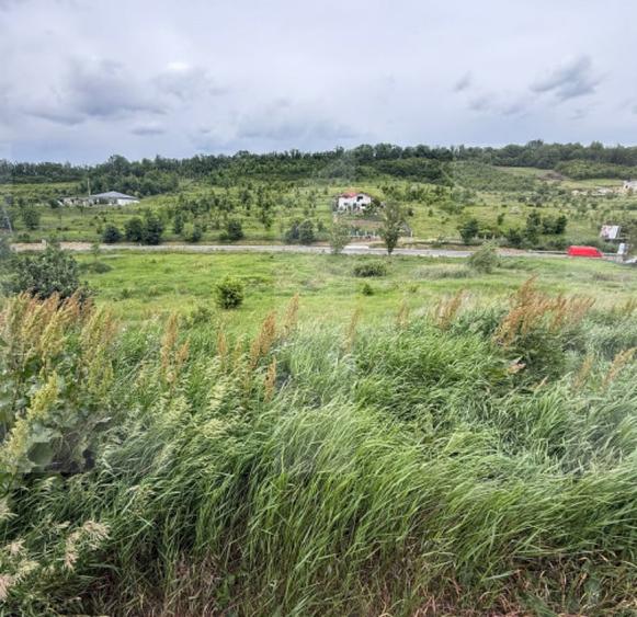 Teren de 1250 mp, în Central