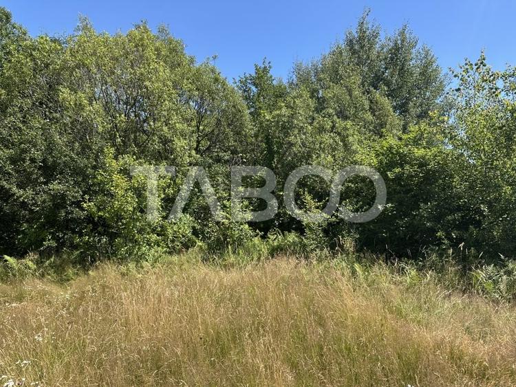 Teren Construcții extravilan de 2000 mp, în Sebeș