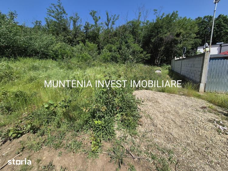 Teren de 1059 mp, în Moșoaia