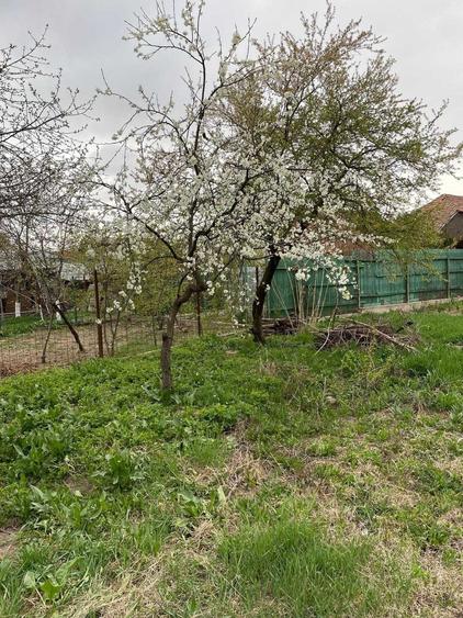 Teren de 2635 mp, în Periș