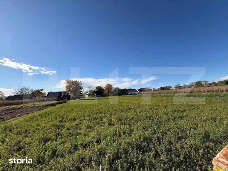 Casă cu 6 camere cu Teren 2355 Mp în Siminicea
