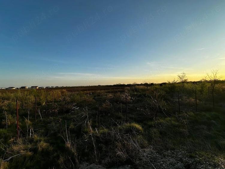 Persoana fizica vand teren 607 mp in Mosnita Veche - 6