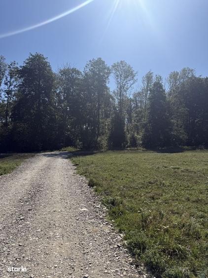 Teren de 883 mp, în Hărman