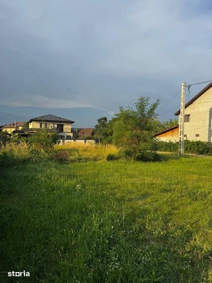 Teren intravilan Paulesti, Prahova, 110 000 euro Negociabil - 5