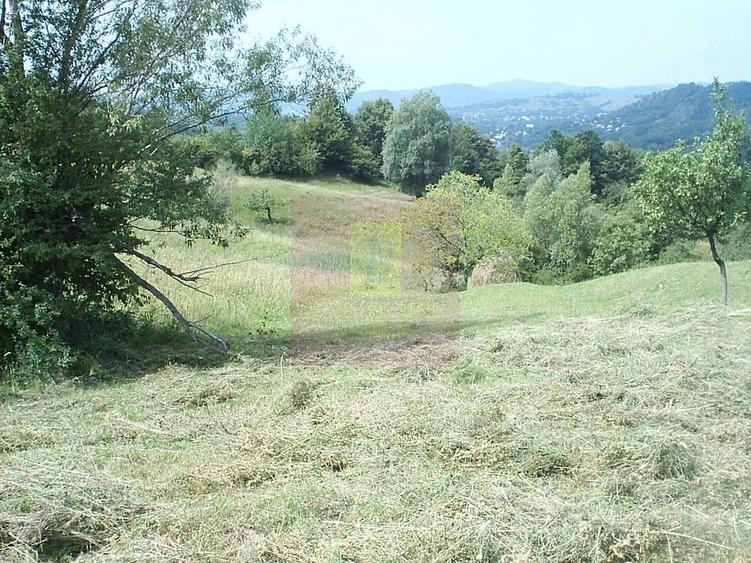 Teren de 4404 mp, în Telega
