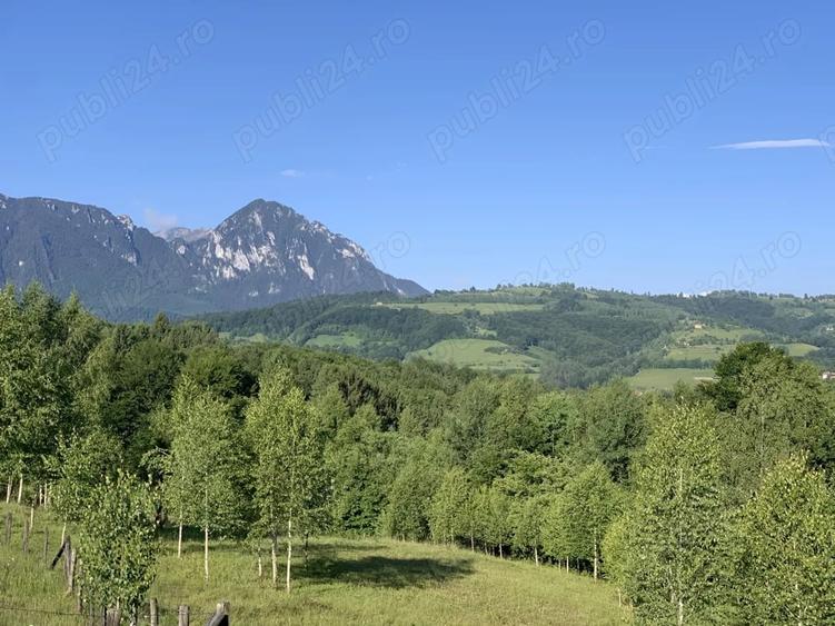 Teren de 4069 mp, în Poiana Mărului