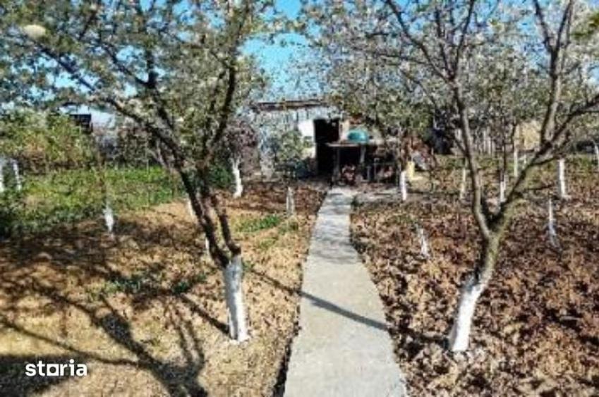 Teren de 385 mp, în Tineretului