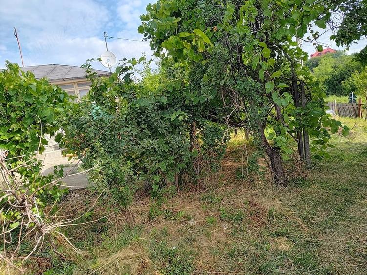 Casă cu 3 camere cu Teren 1200 Mp în Goruni