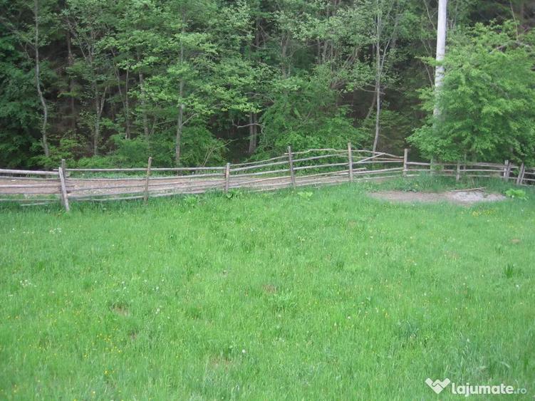 Teren de 4080 mp, în Valea Doftanei
