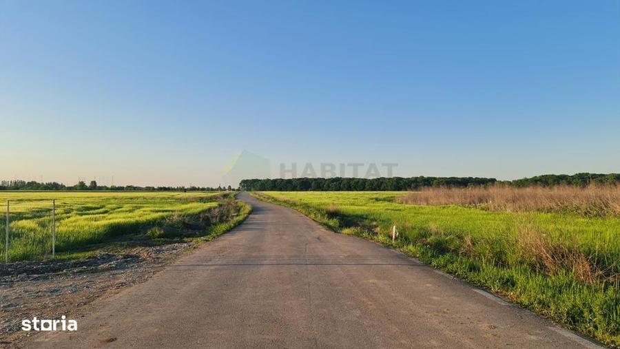 Teren de 8569 mp, în Ciolpani
