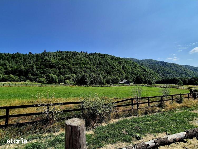 Teren de 5700 mp, în Plaiul Foii