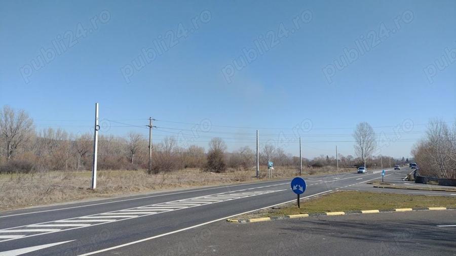 Teren de 20000 mp, în Valea Ursului (Tâmna)