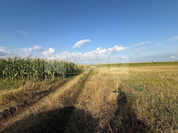 Teren Construcții extravilan de 4578 mp, în Horodnic de Sus
