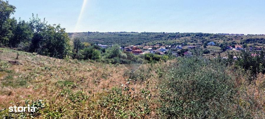 Teren de 915 mp, în Bârnova