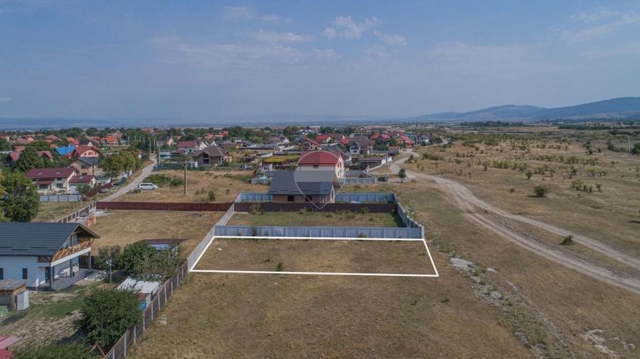Teren Construcții intravilan de 600 mp, în Cărpiniș