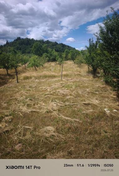 Casă cu 3 camere în Marga