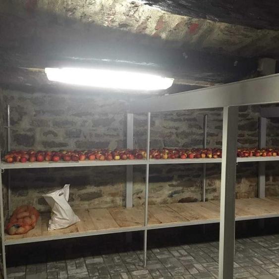 Casă cu 3 camere cu Teren 1746 Mp în Voila