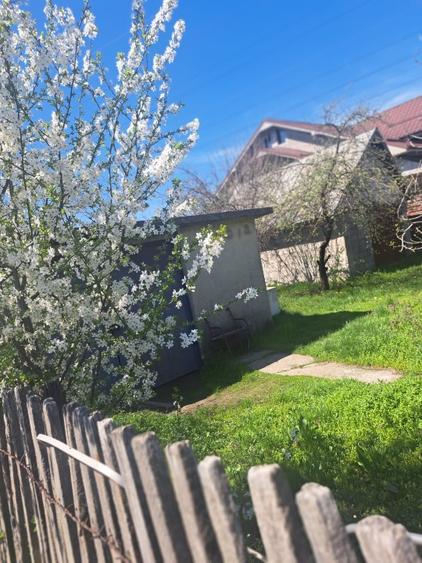 Teren intravilan 5000 mp Slatina  - 1
