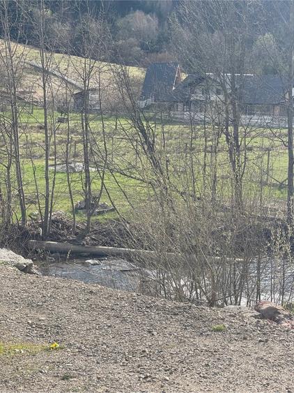 Teren de 950 mp, în Colibița