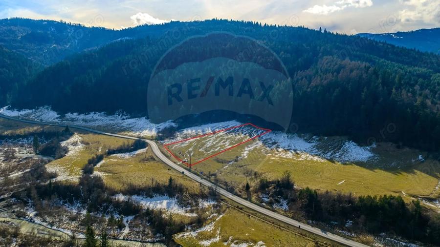 Teren de 10000 mp, în Brădet
