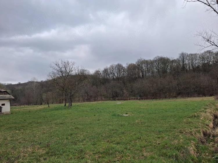 Teren de 5500 mp, în Făurești