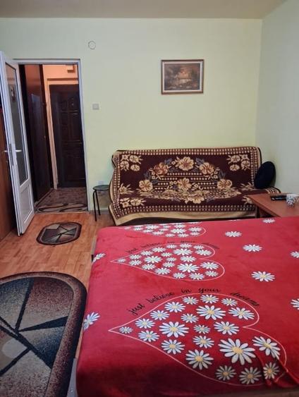 Garsonieră semidecomandată, mobilată în Brazda lui Novac