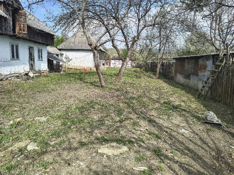 Casă cu Teren 1373 Mp în Prăjoaia