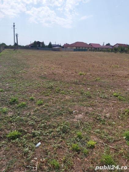 Teren de 4300 mp, în Sud