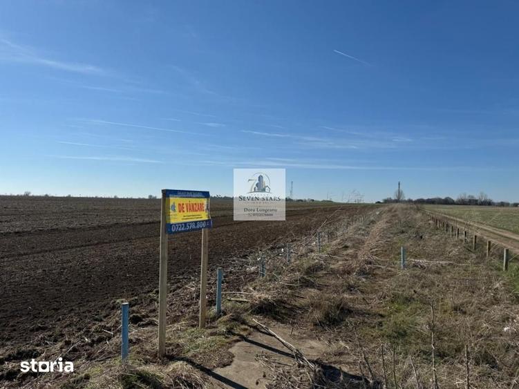 Teren intravilan 47.400 mp, Vama Veche, 200 m de Marea Neagra - 6