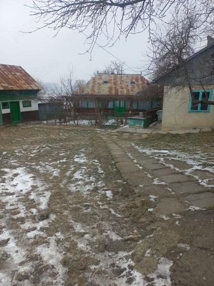 Casă cu Teren 3000 Mp în Zvoriștea