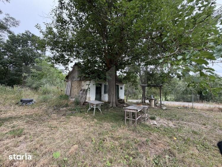 Teren de 7030 mp, în 1 Mai