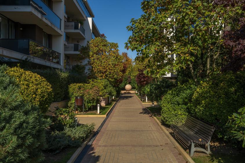 Apartament minunat 3 camere pet friendly,cu gradina,Baneasa Privighetorilor Park - 20