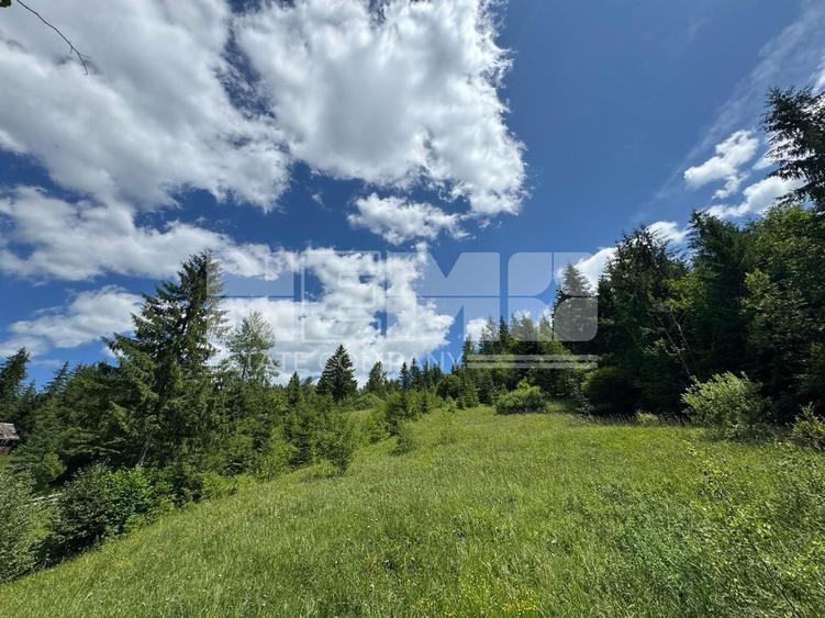 Teren extravilan de 23520 mp, în Periferie