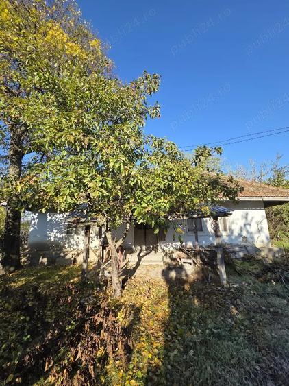 Casă cu 2 camere cu Teren 3500 Mp în Crasna