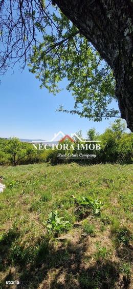 Teren de 3400 mp, în Podgoria
