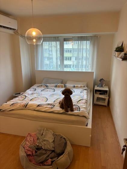 Apartament cu 3 camere decomandat, mobilat în Banu Manta