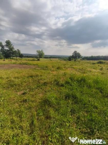 Casă cu 3 camere cu Teren 5000 Mp în Rădăuți