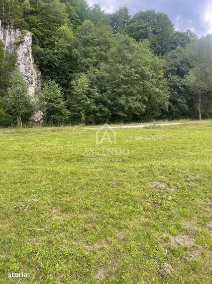 Teren Investitie Turistica Dambovicioara Baranga | 4.500 mp - 5