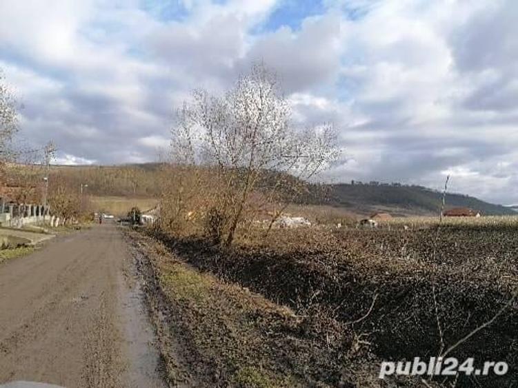 Teren de 4050 mp, în Ceuaș