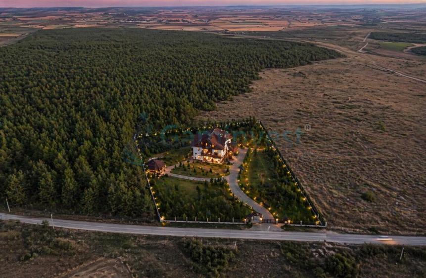 Teren Construcții intravilan de 35693 mp, în Gepiu