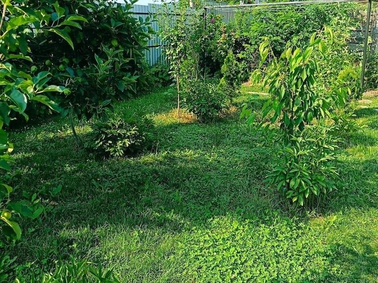 Casă individuală cu 2 camere cu Teren 380 Mp în Central