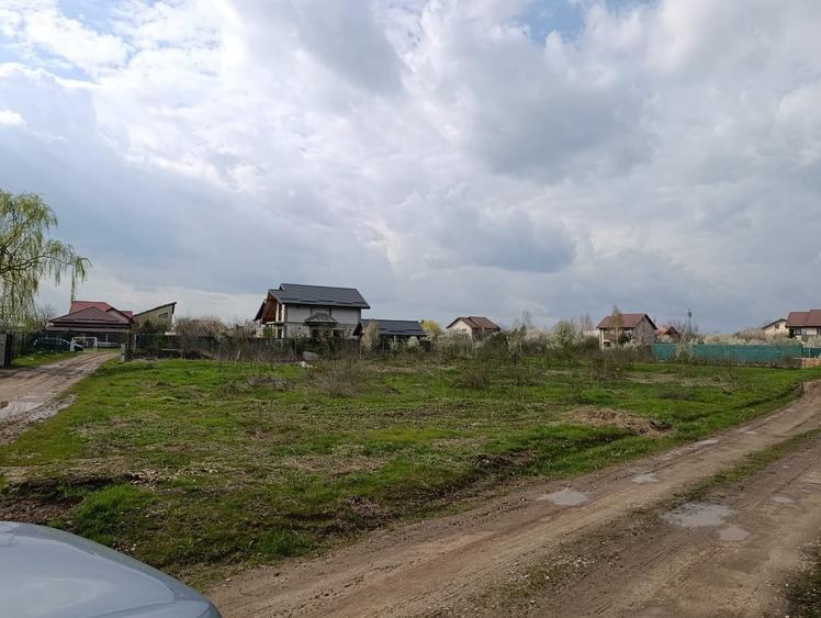 Teren în Domnești